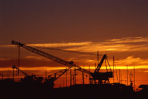 /images/store/41/CraneSunset.jpg